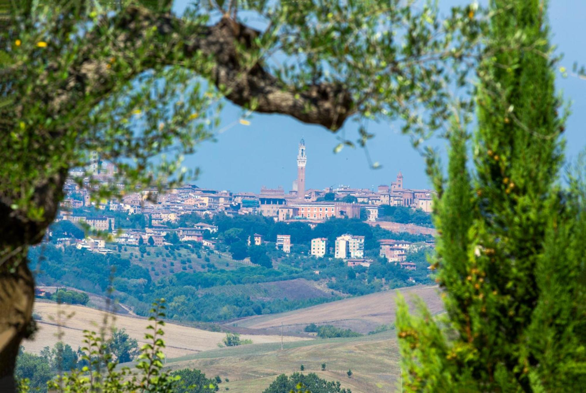 Casavacanze Vesta Isola d'Arbia Екстер'єр фото